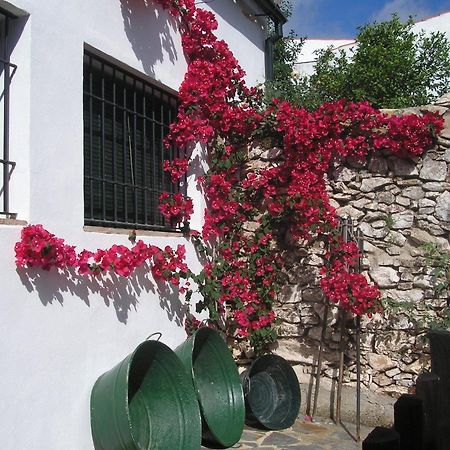 בית הארחה Alanís 	Casa Rural Y Restaurante Casa Adriano מראה חיצוני תמונה