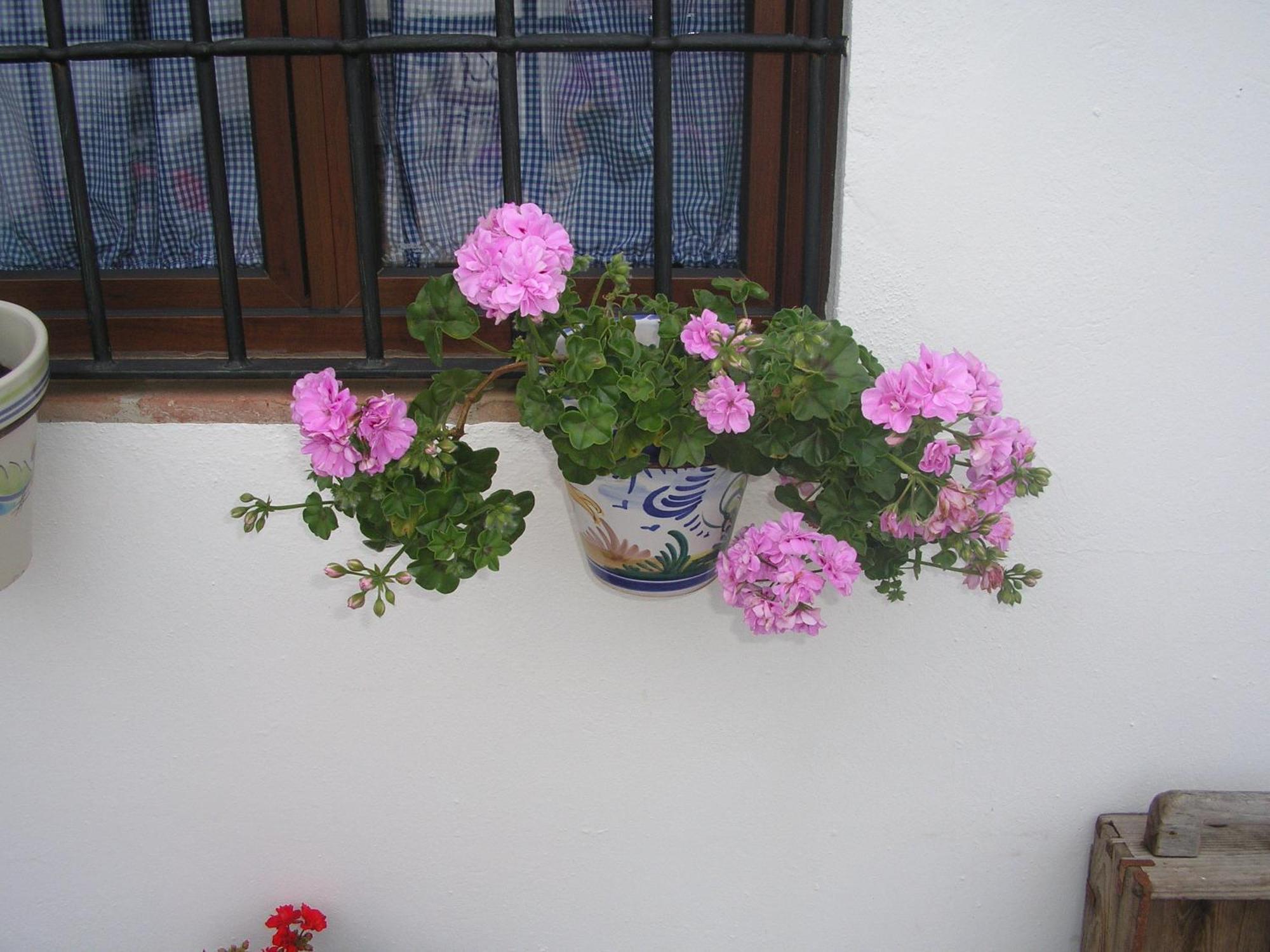 בית הארחה Alanís 	Casa Rural Y Restaurante Casa Adriano מראה חיצוני תמונה
