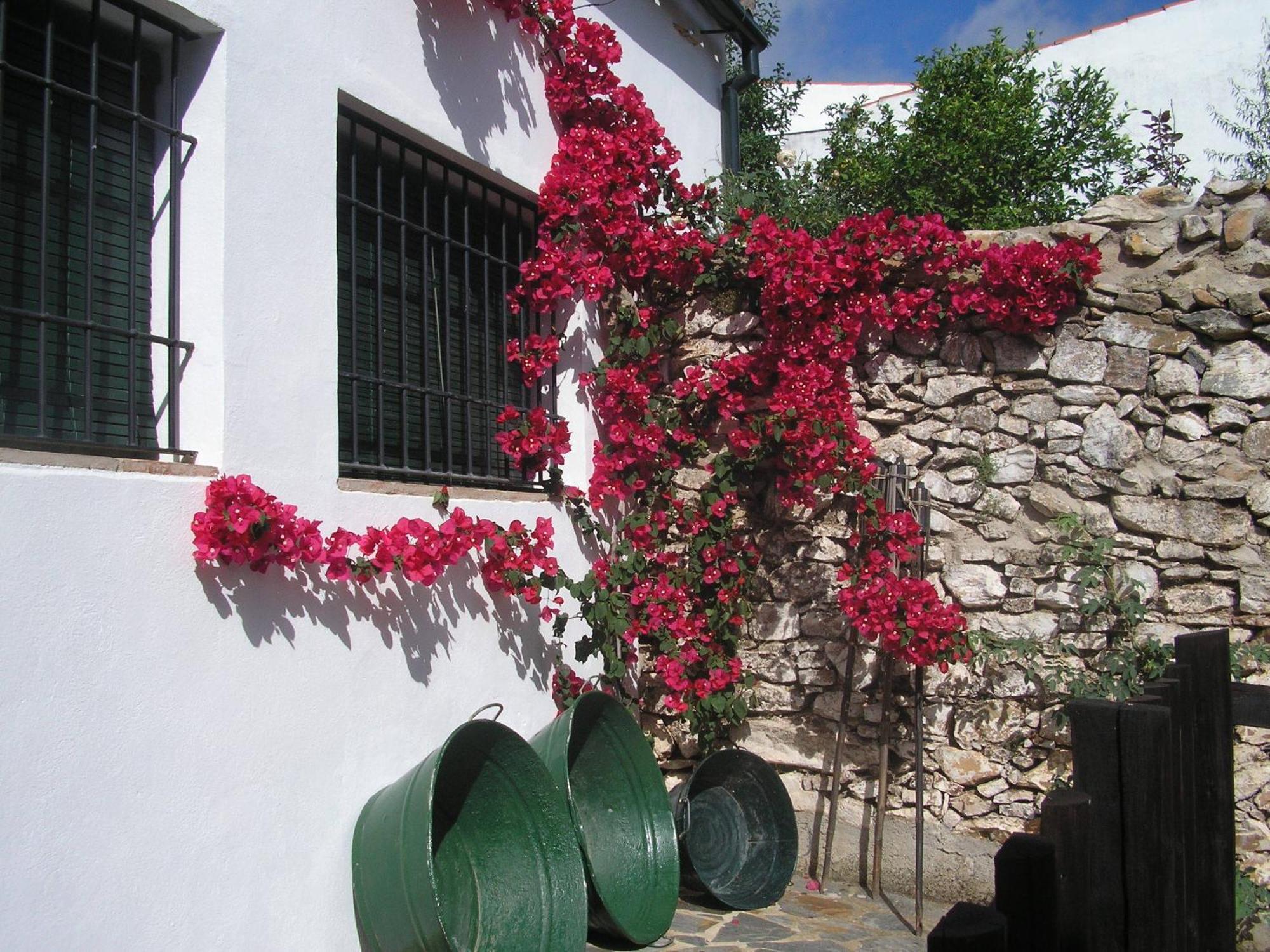 בית הארחה Alanís 	Casa Rural Y Restaurante Casa Adriano מראה חיצוני תמונה